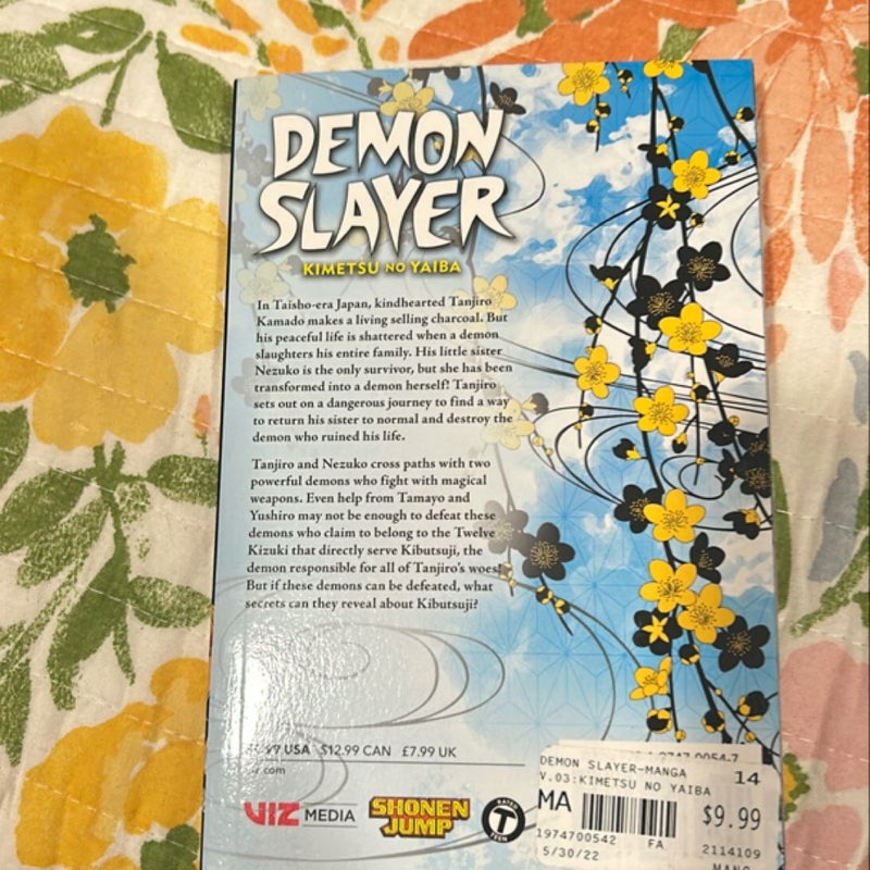 Demon slayer volume 3 