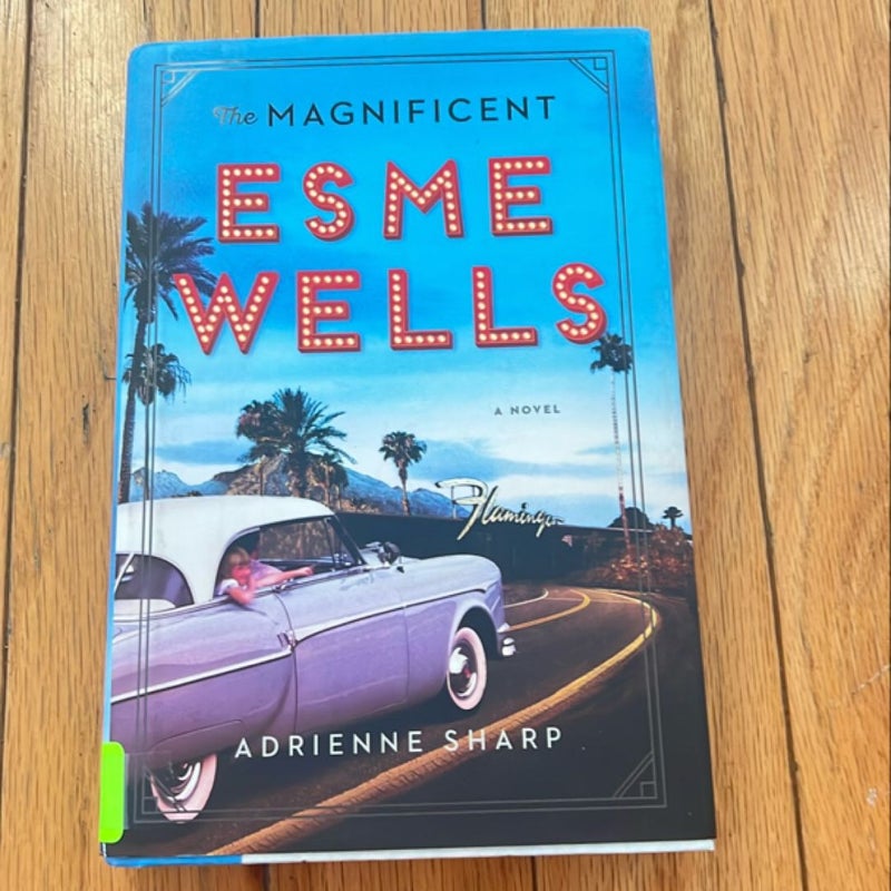 The Magnificent Esme Wells
