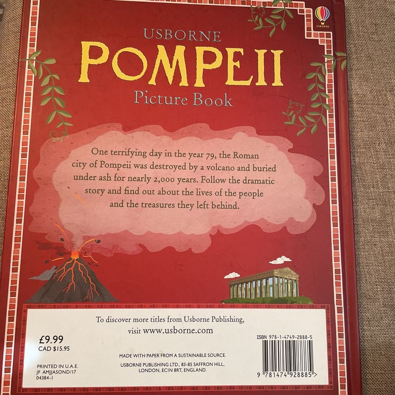 Pompeii Picture Book