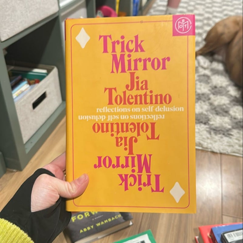 Trick Mirror