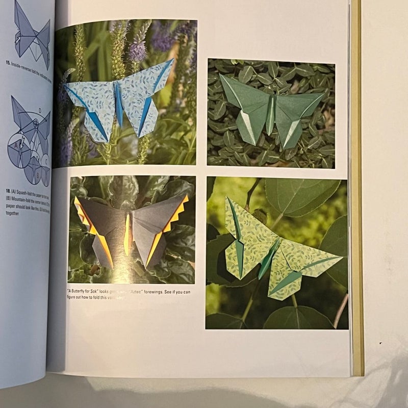 Michael Lafosse's Origami Butterflies with DVD’s