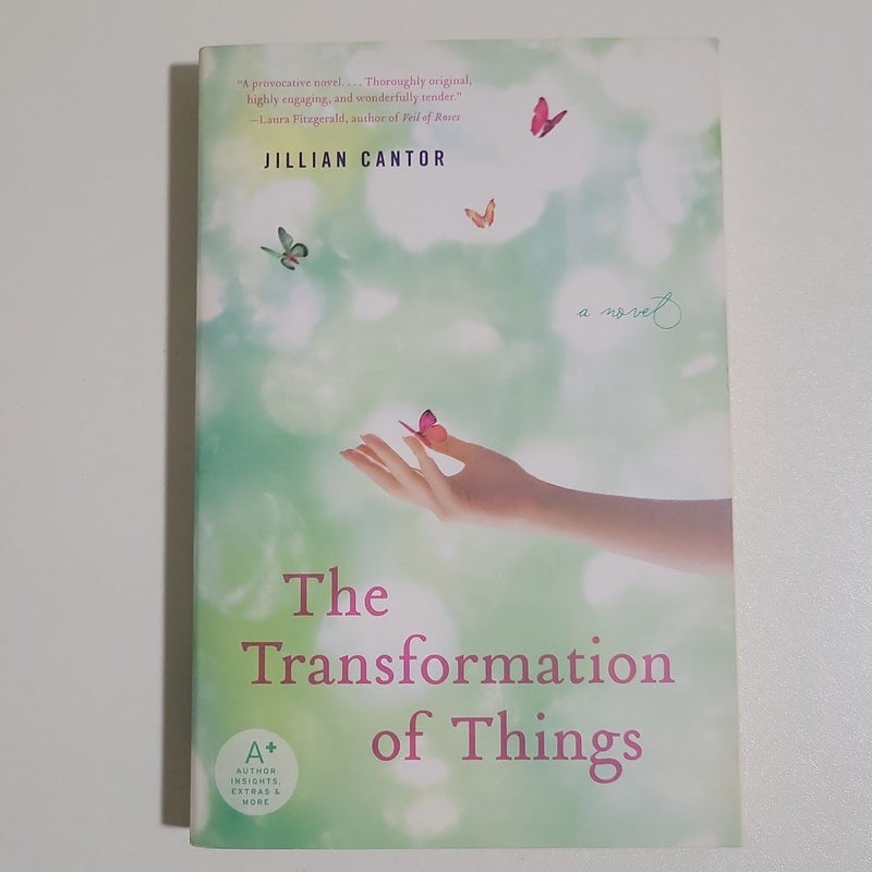 The Transformation of Things