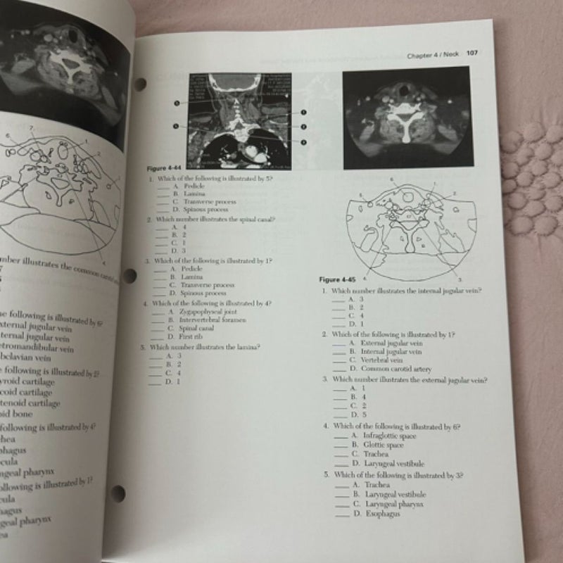 Introduction to Sectional Anatomy Workbook and Board Review Guide