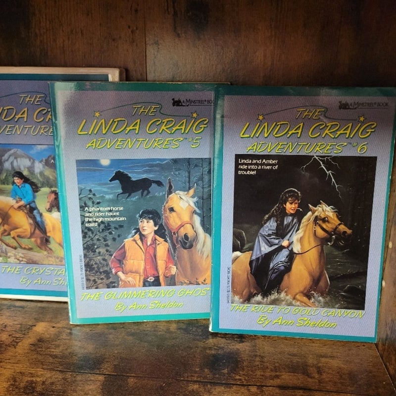 The Linda Craig Adventures 1-12 complete series 