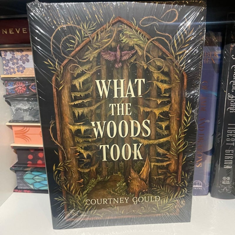 What The Woods Took