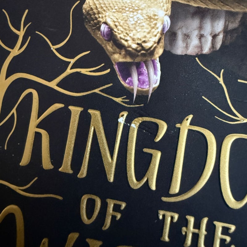 Kingdom of the Wicked