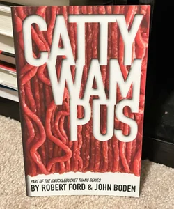 Cattywampus