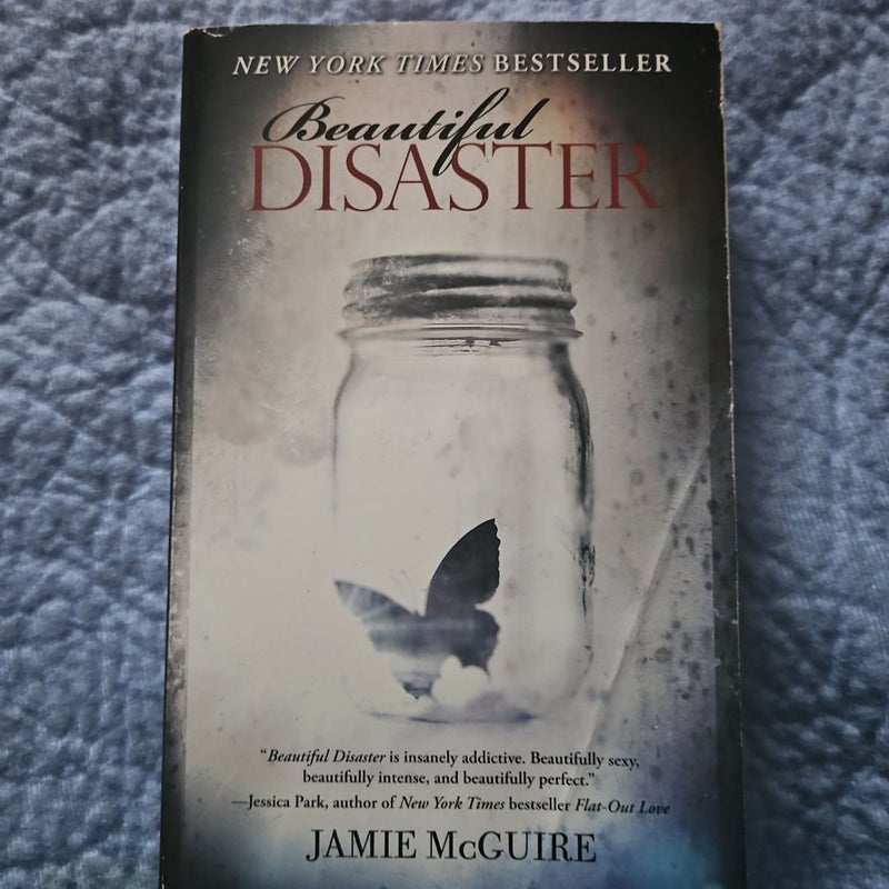 Beautiful Disaster