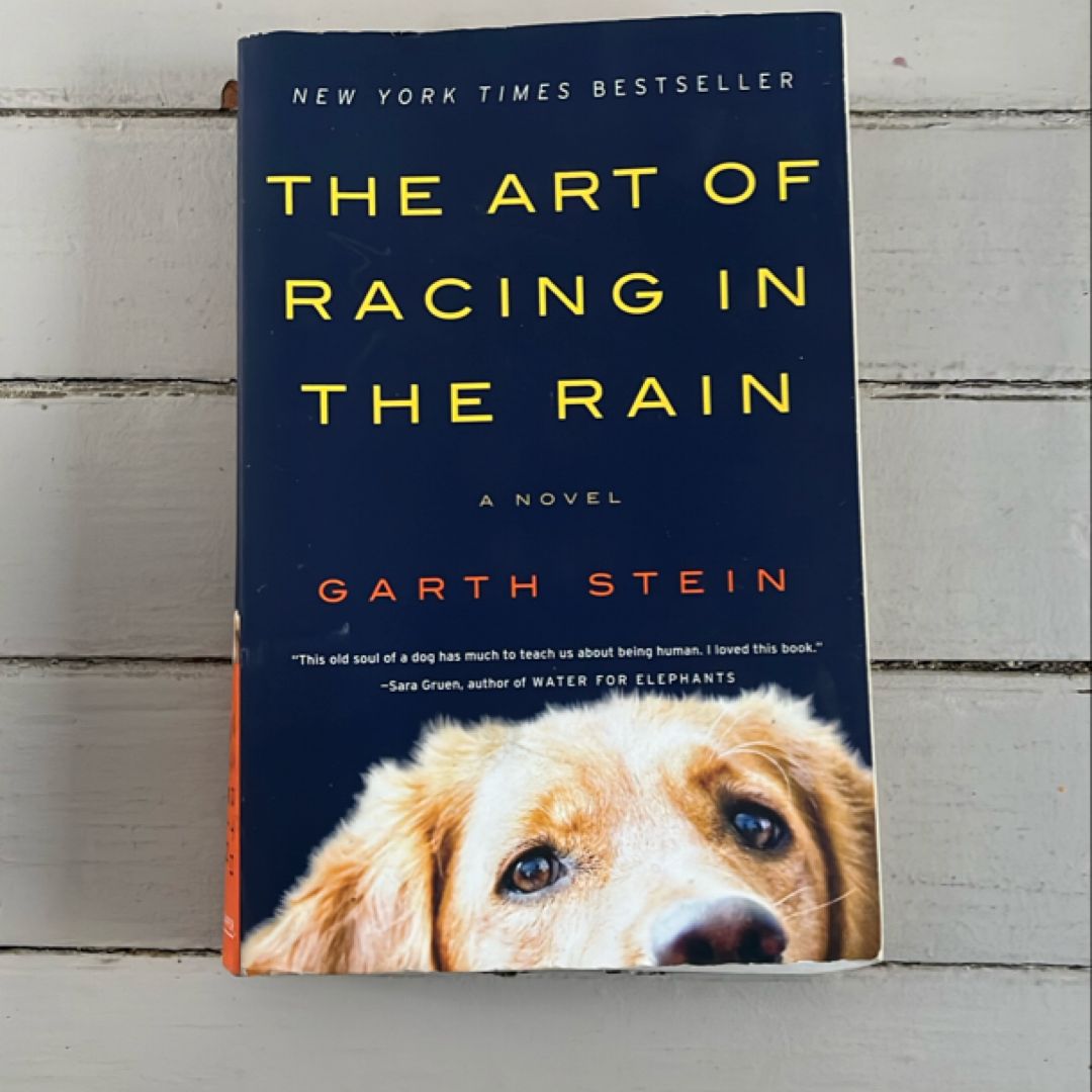 The Art of Racing in the Rain