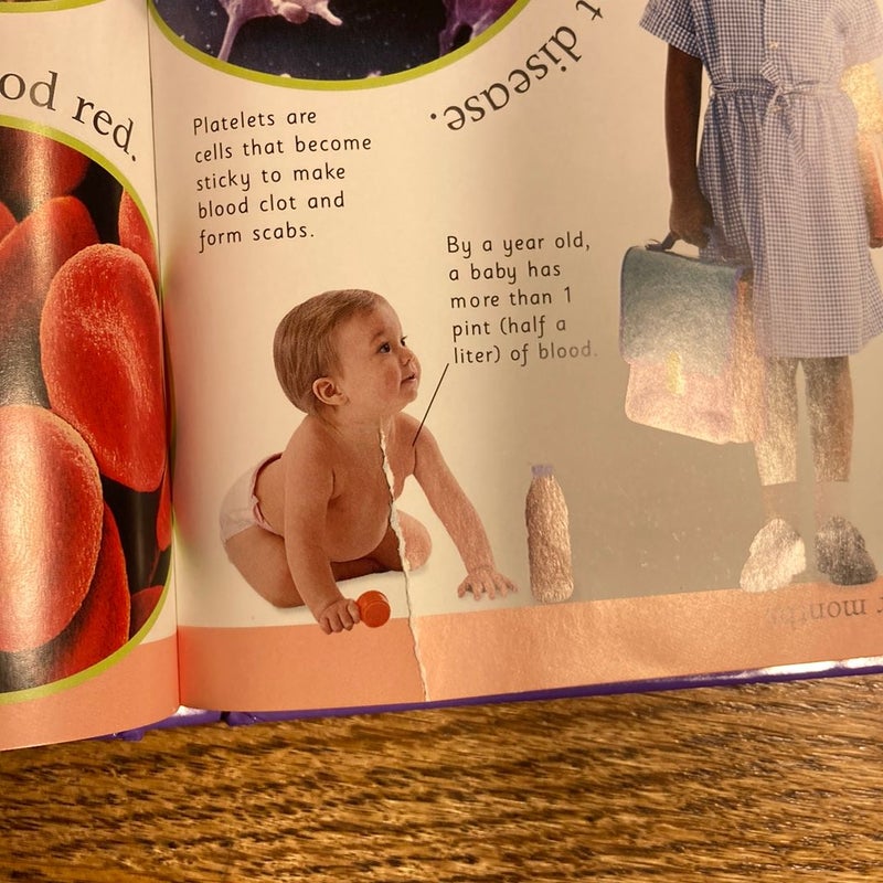 First Human Body Encyclopedia