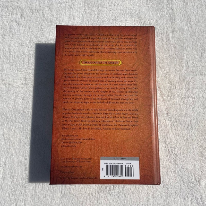 Dragonfly in Amber