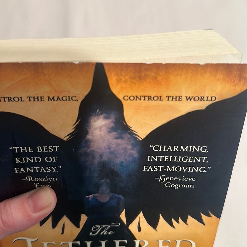 The Tethered Mage Paperback 