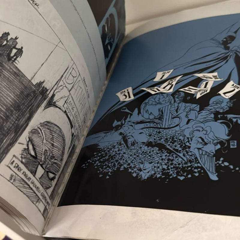 Batman: the Long Halloween Deluxe Edition