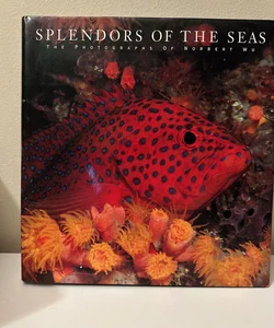 Splendors of the Seas