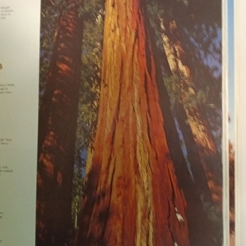 National Forest/Parks of the WEST 