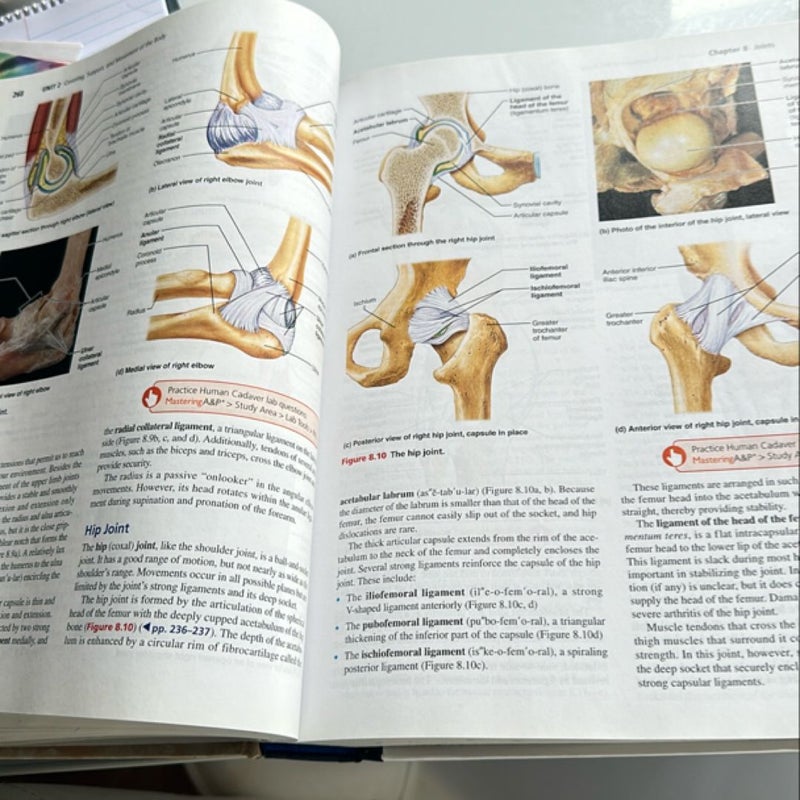 Human Anatomy and Physiology Plus MasteringA&P with Pearson EText -- Access Card Package