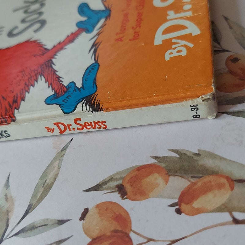 Fox in Socks