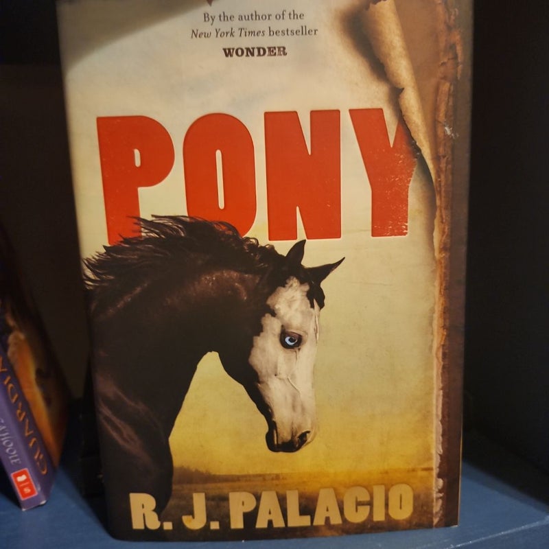 Pony