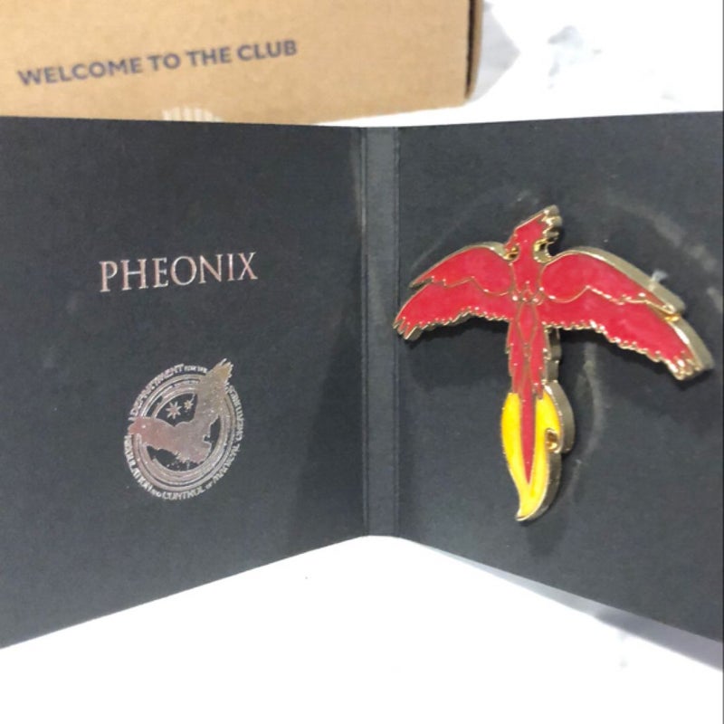 Lootcrate exclusive Phoenix pin