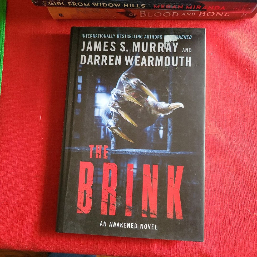 The Brink: An Awakened Novel [Book]