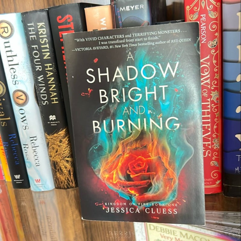 A Shadow Bright and Burning (Kingdom on Fire, Book One)