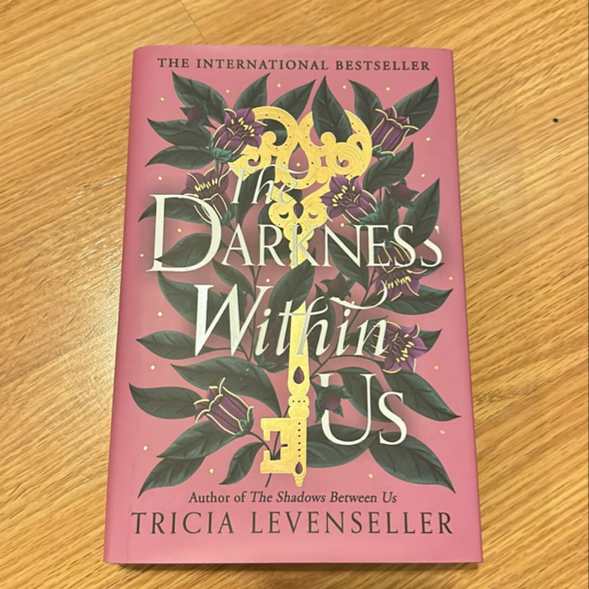 The Darkness Within Us (Fairyloot) by Tricia Levenseller, Hardcover ...