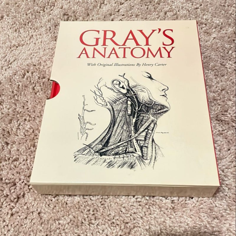 Gray's Anatomy