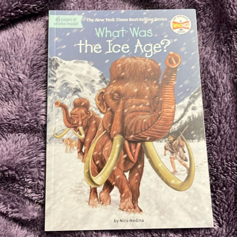 What Was the Ice Age?