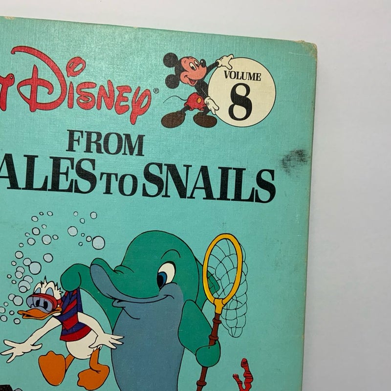 Walt Disney’s From Whales to Snails