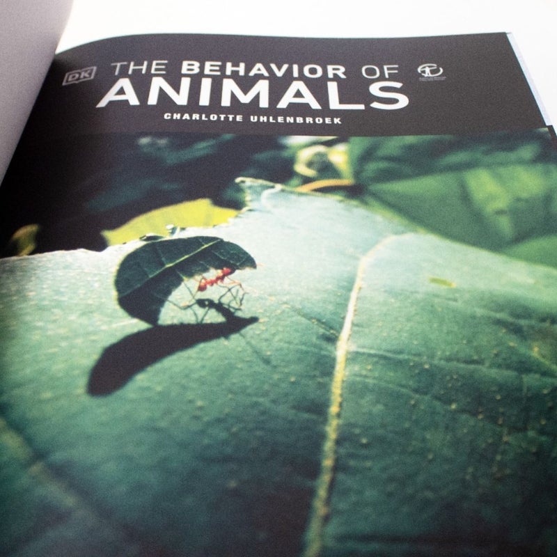 The Behavior of Animals