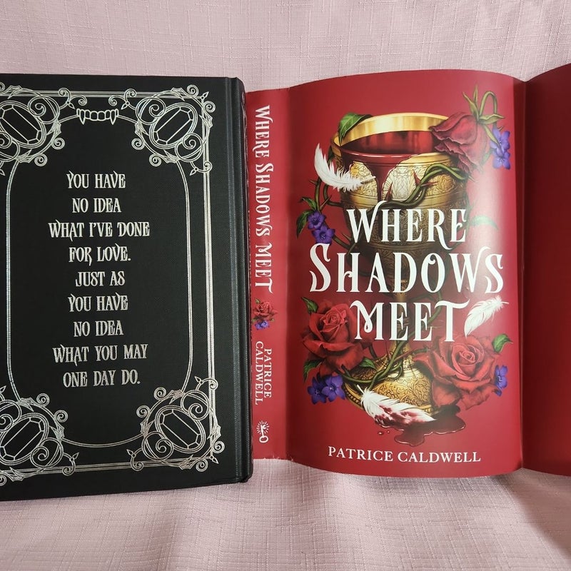 Where Shadows Meet