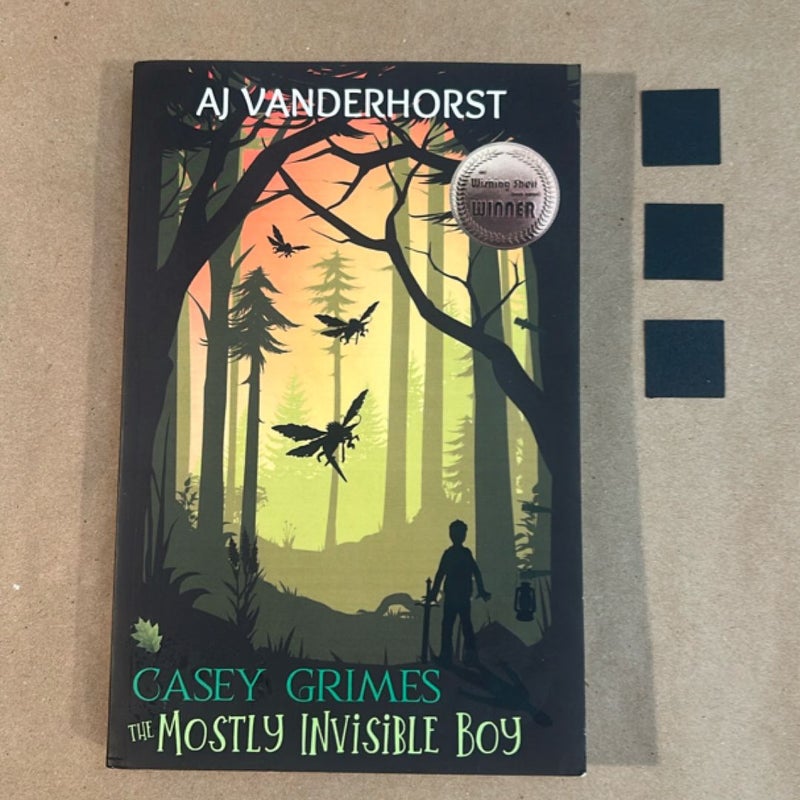 The Mostly Invisible Boy (Casey Grimes)