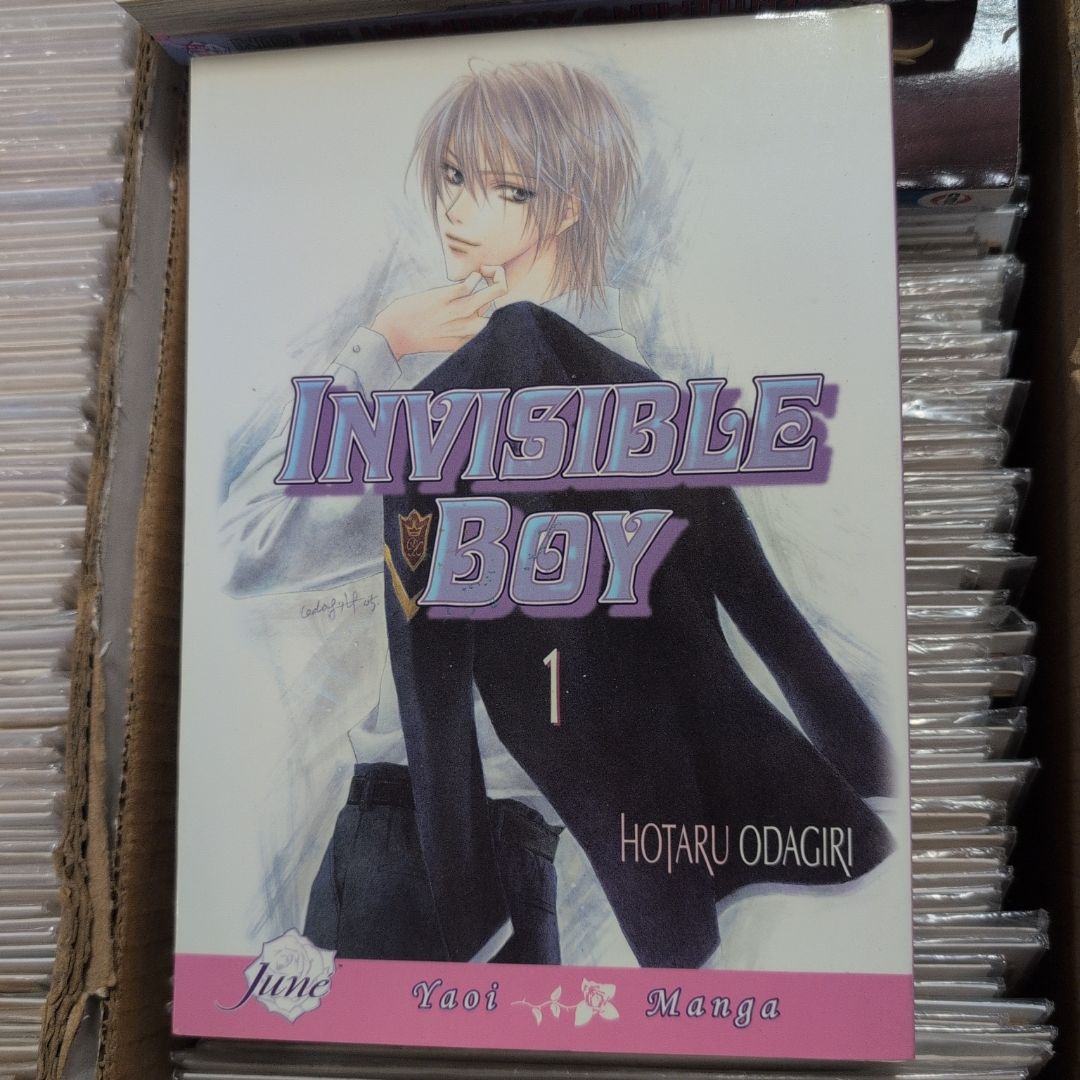 Invisible Boy