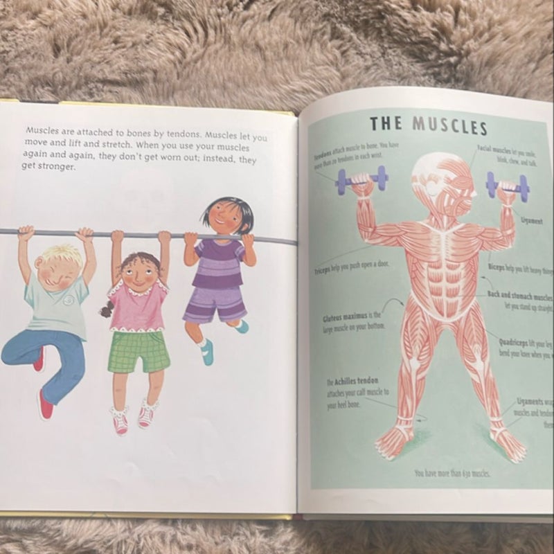 The Busy Body Book