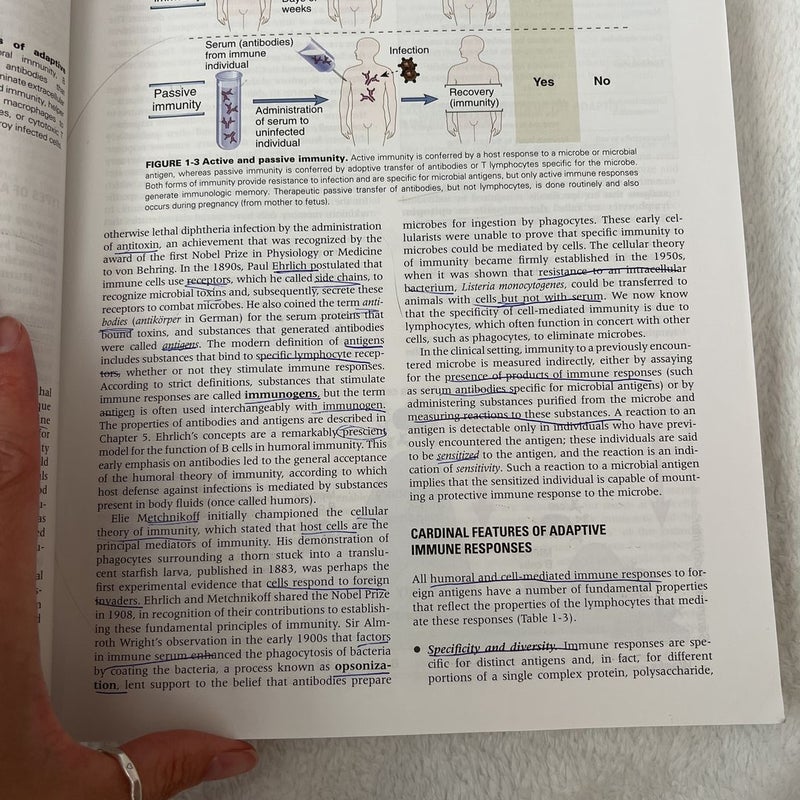 Cellular and Molecular Immunology 