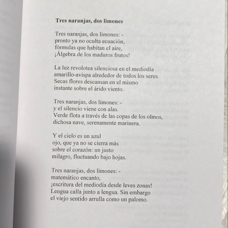 LIMITES DE UNA POETICA