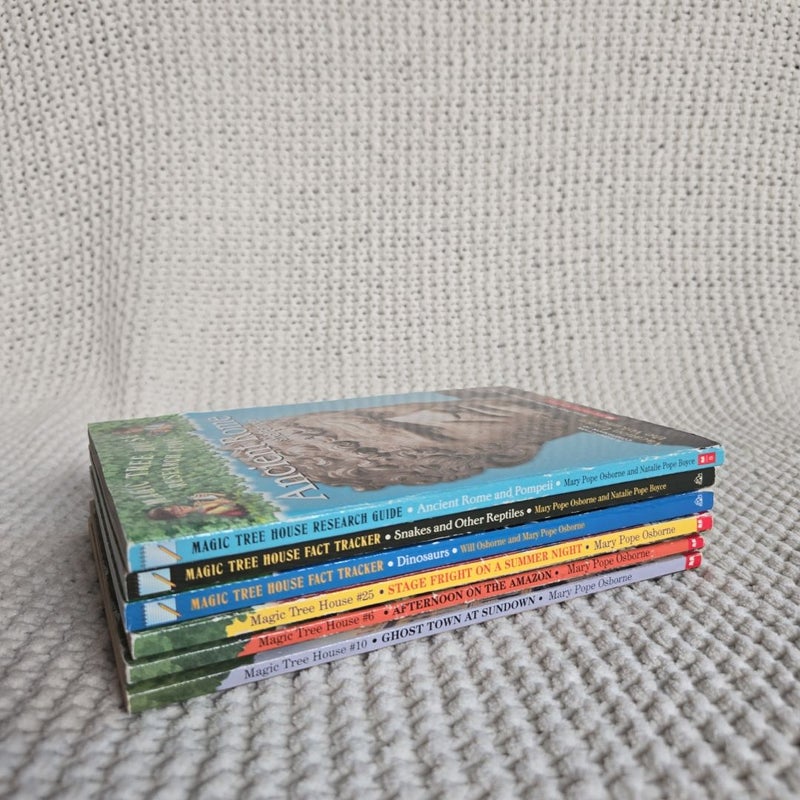 Set of 6 Magic Tree House Books