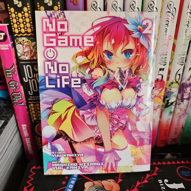 No Game, No Life Vol. 2