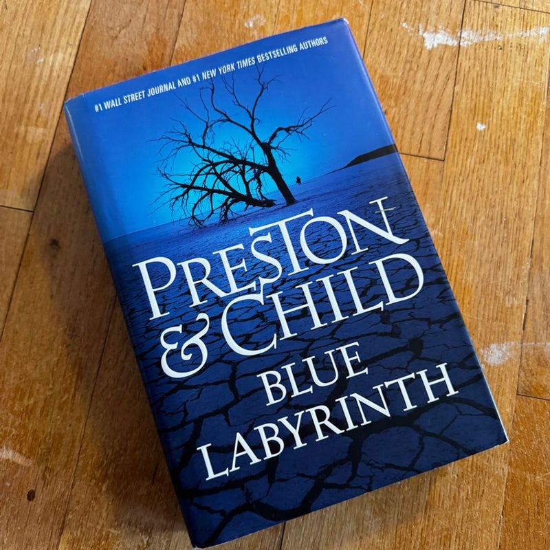 Blue Labyrinth