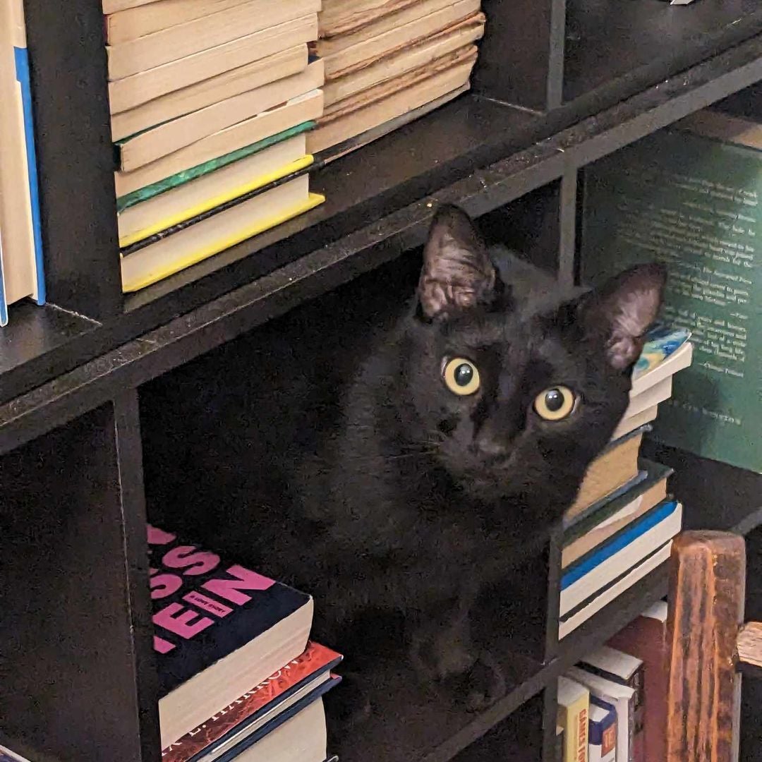 Micah & Marziel's books