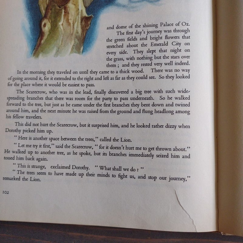 The Wizard of Oz