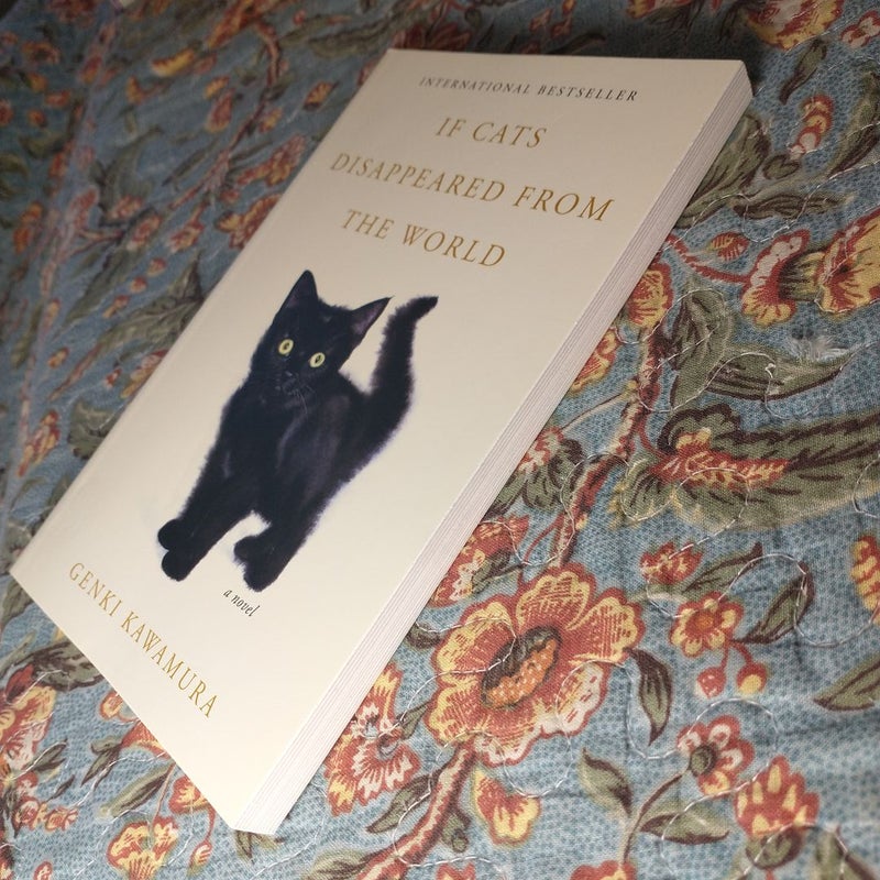 If Cats Disappeared from the World