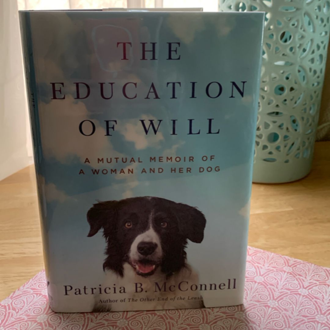 The Education of Will