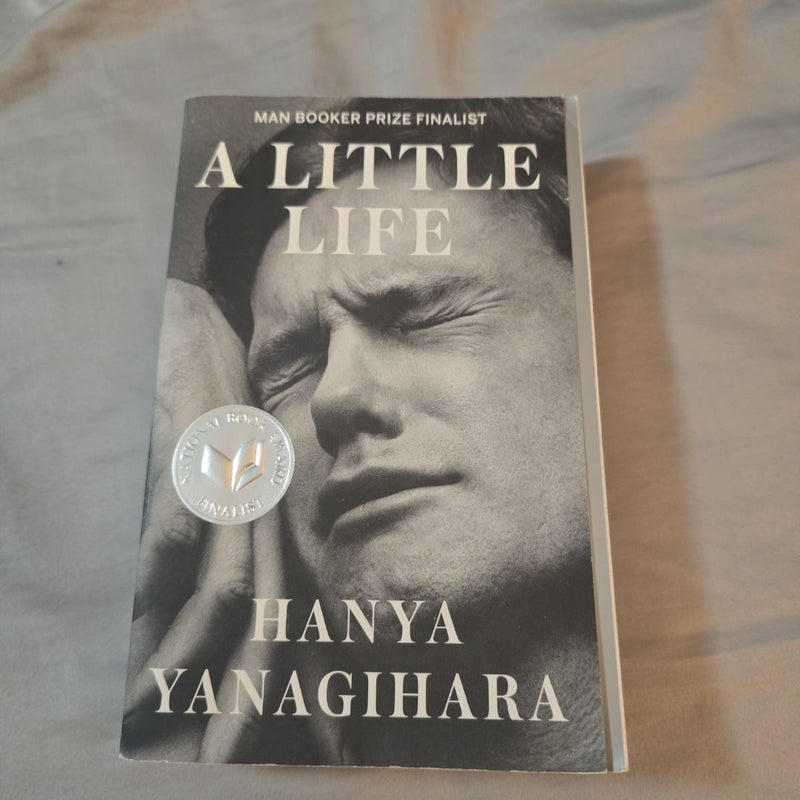 A Little Life