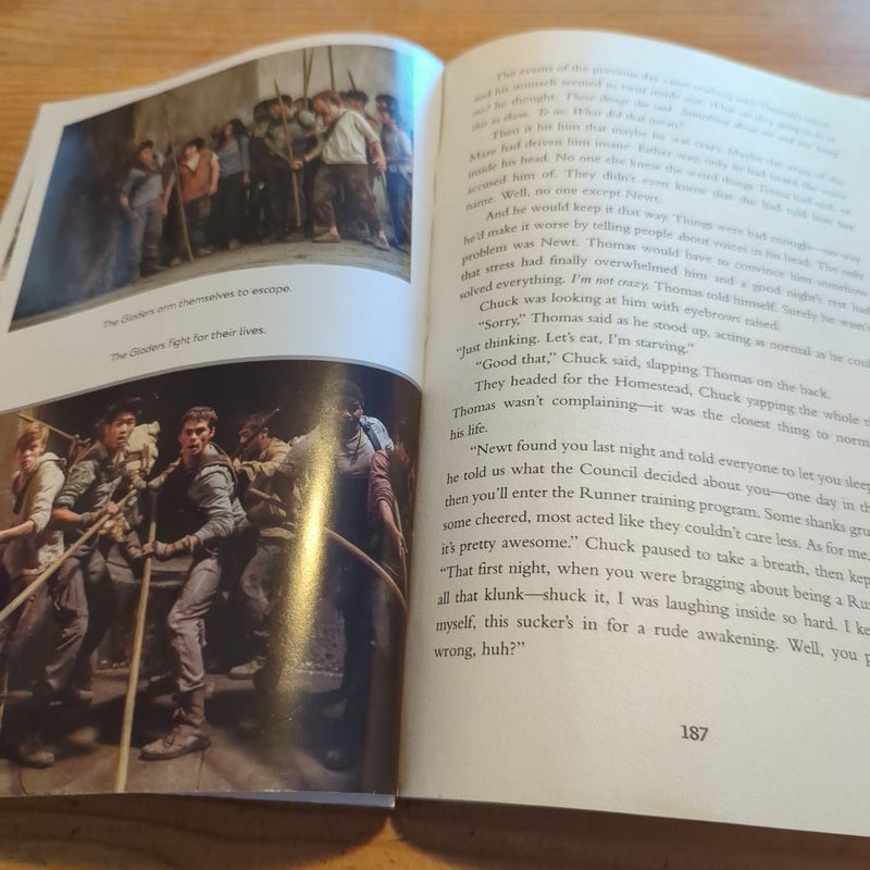 The Maze Runner Movie Tie-In Edition (Maze Runner, Book One)