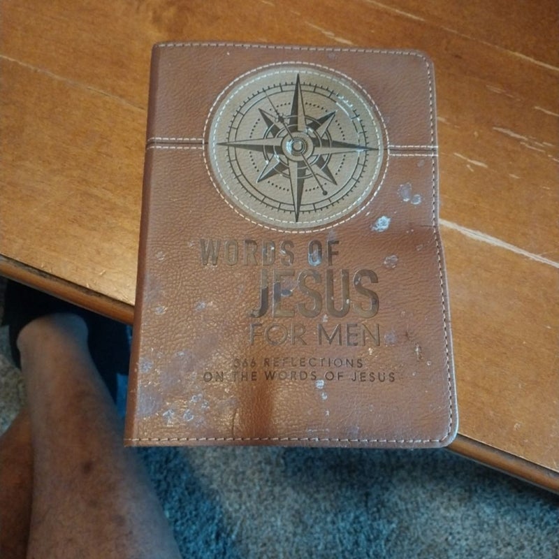 Lux-Leather Brown - Words of Jesus for Men