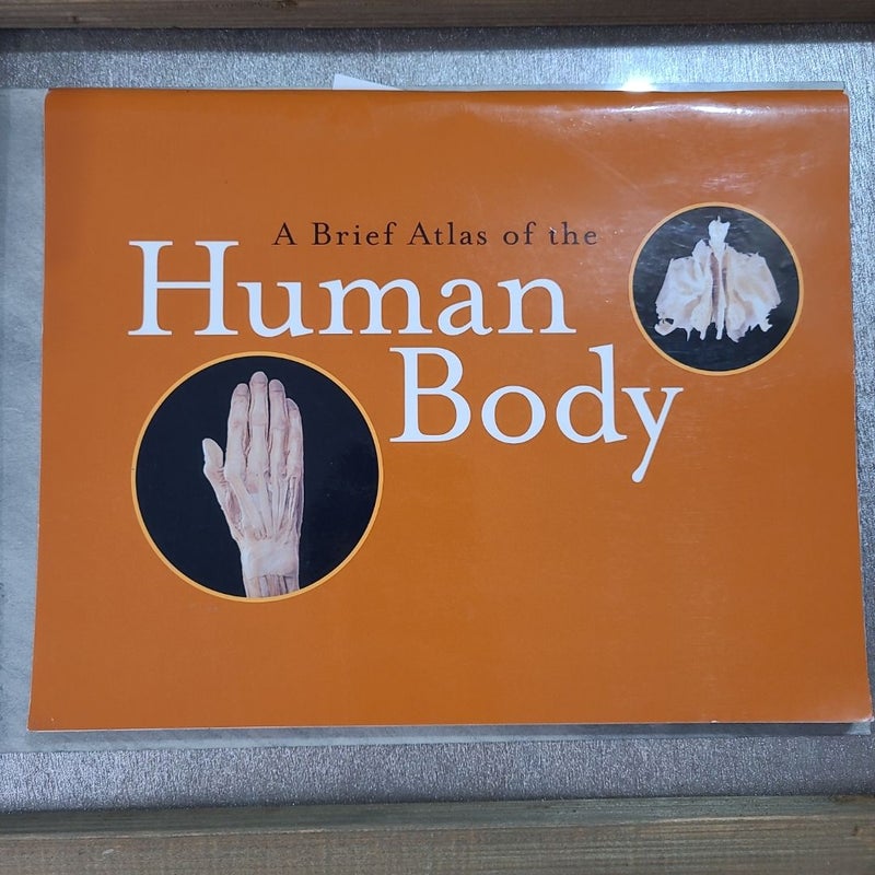 A Brief Atlas of the Human Body