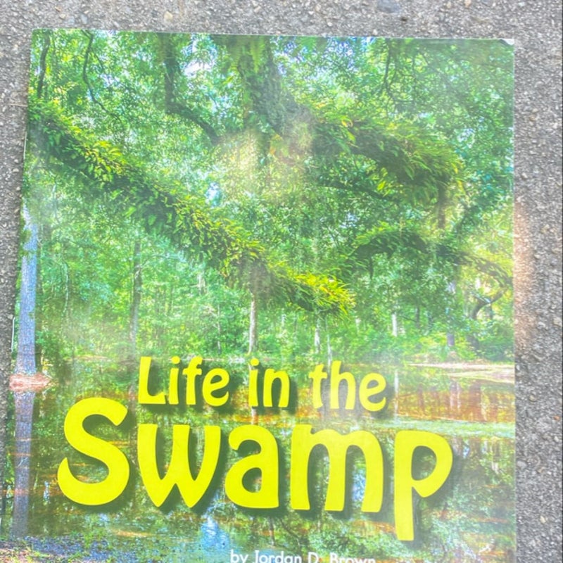 Life in the Swamp