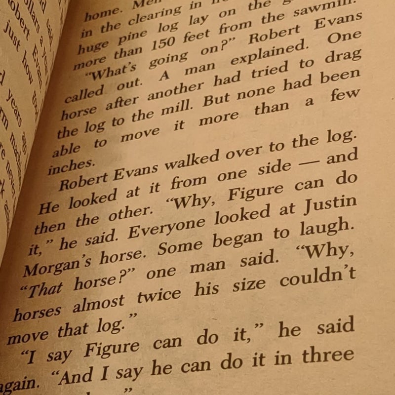 Five True Horse Stories