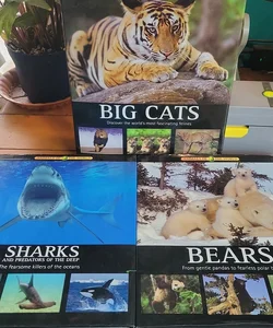 Sharks, big cats, bears